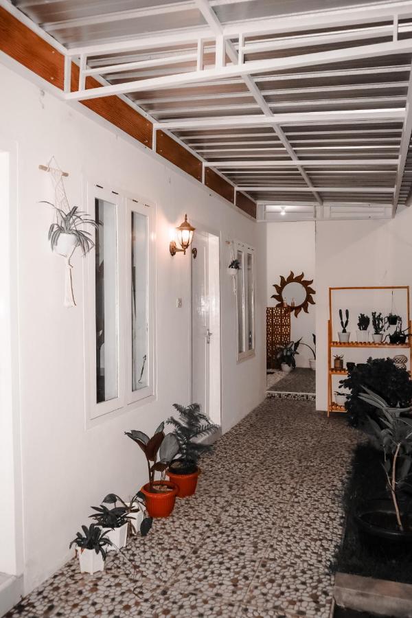 בניוואנגי Tropical Paradiso Homestay מראה חיצוני תמונה